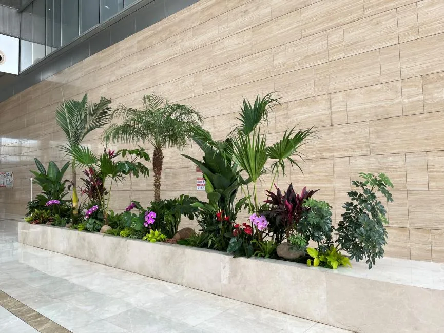 探秘宁波奉化花木租赁价格，究竟贵不贵？